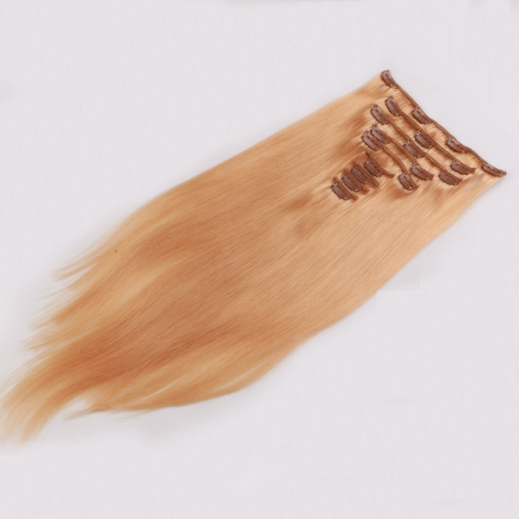 Clip in weft hair extensions SJ00104